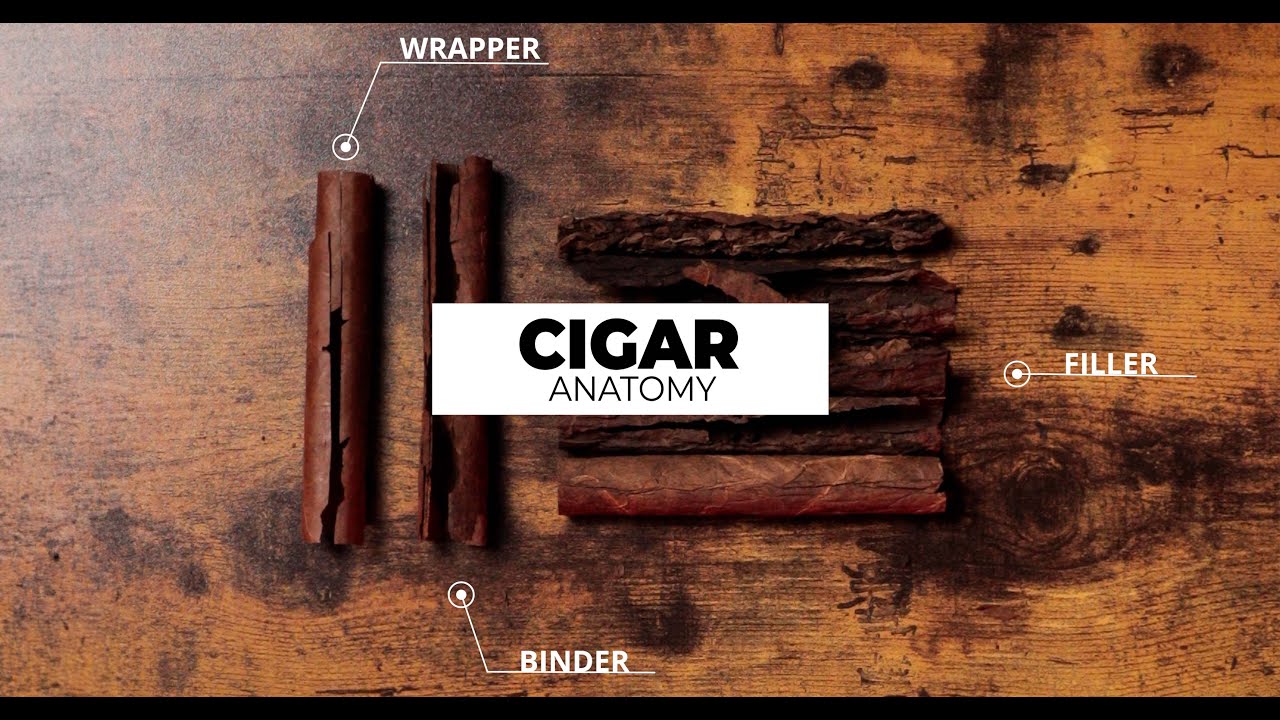 Cigar Anatomy 101: Different Parts of a Cigar