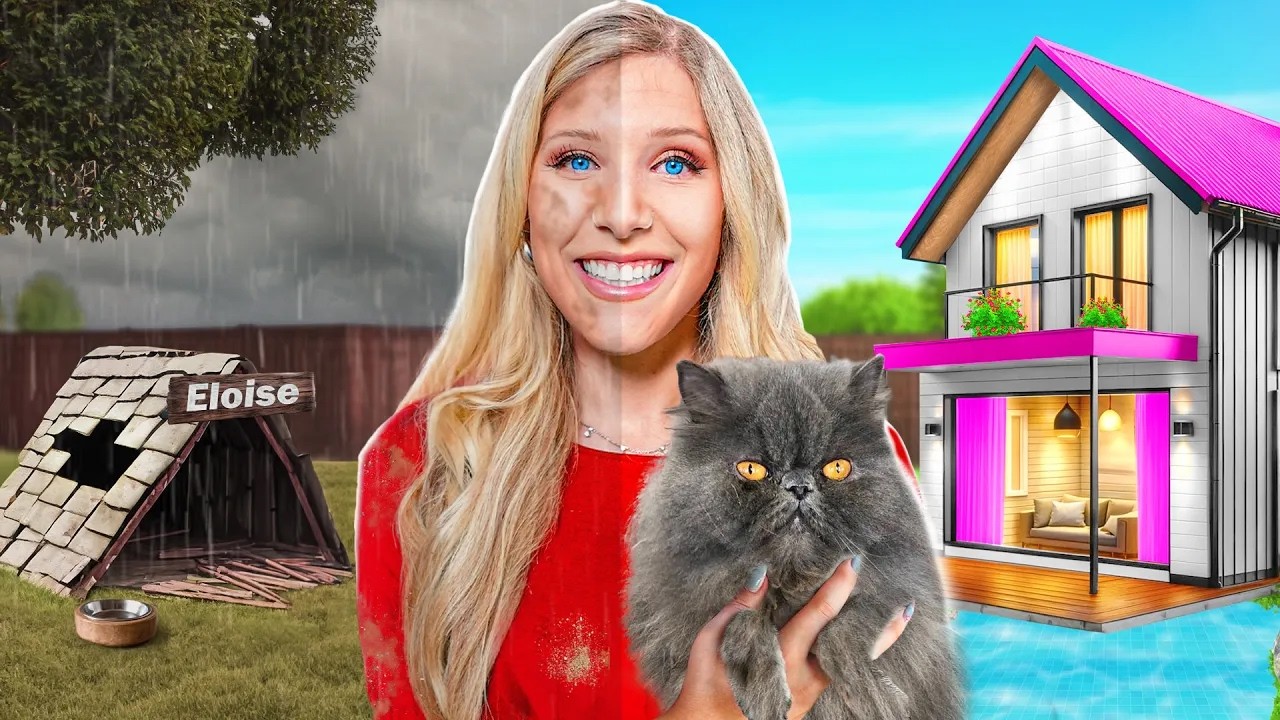 I Surprised My Cat with her Dream Room!
