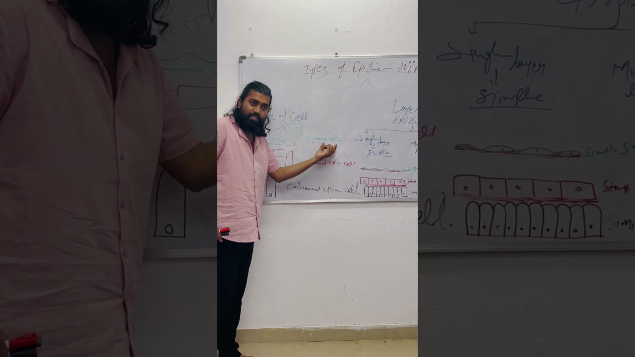 Epithelial Tissue | Tissue | Lecture | classes #lecture #medical #medicaleducation #medicallectures