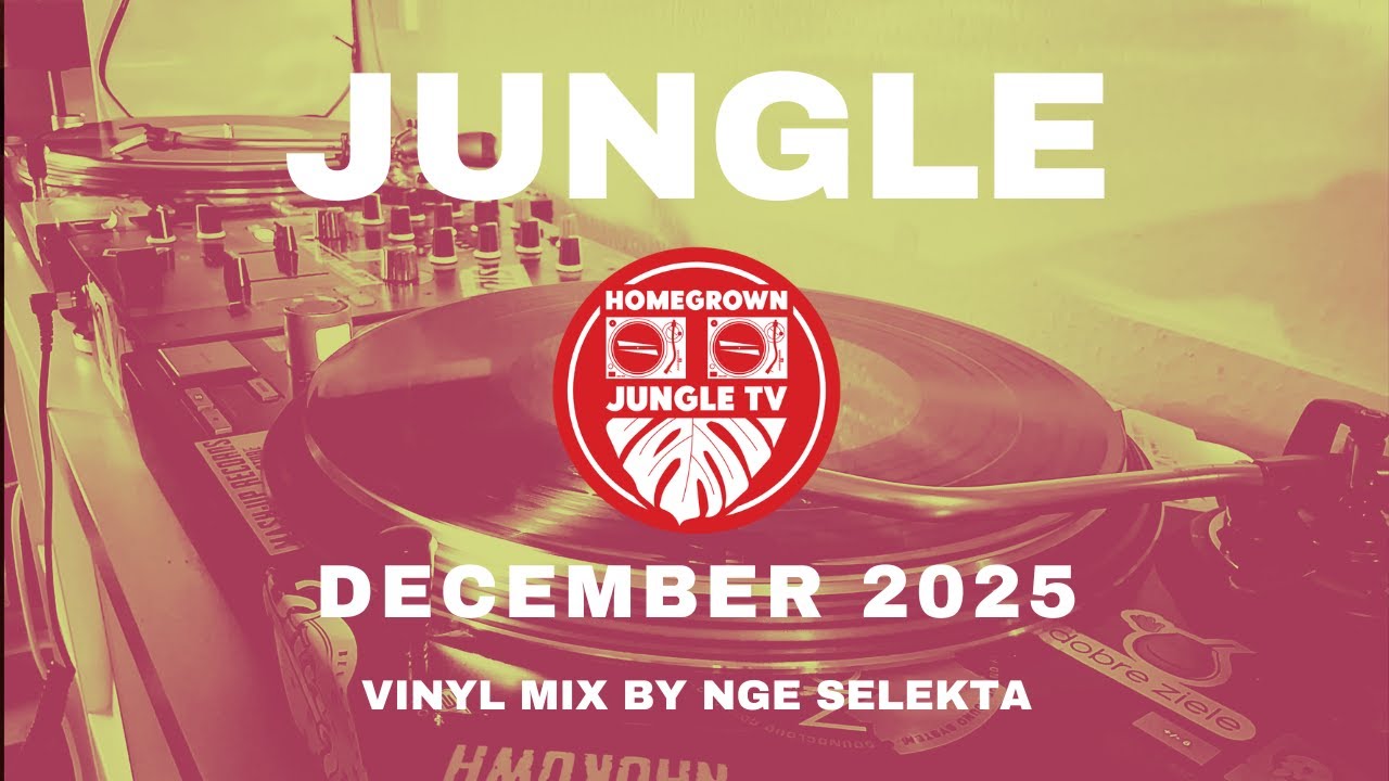 Jungle, December 2025