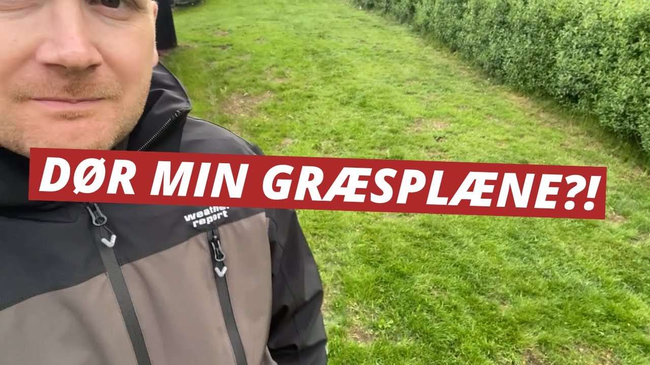 Se hvad der skete med min gr&aelig;spl&aelig;ne efter t&oslash;rken!