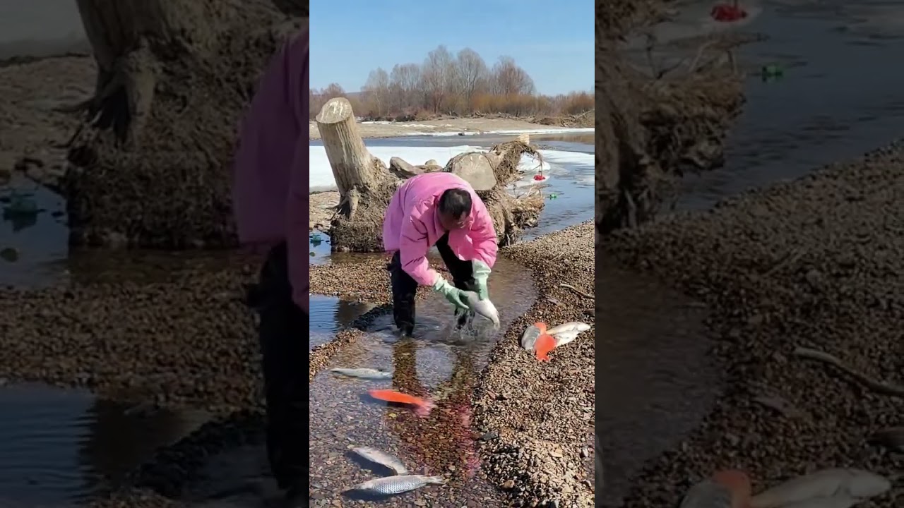 Frozen River Ice Fishing 😱 Big Fish Catch Under Ice