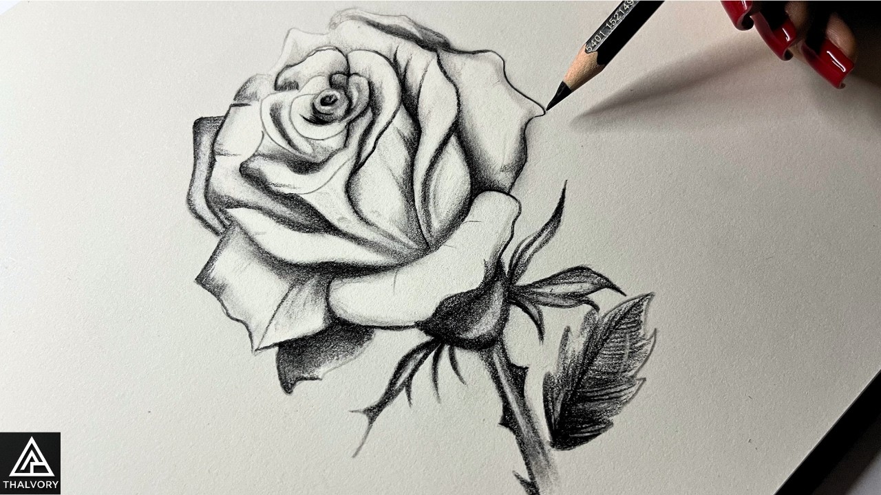 How to Draw a Realistic Rose with Pencil | Step-by-Step for Beginners