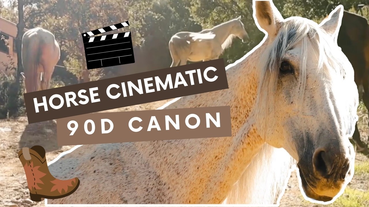Immersion dans un haras 🐎 | Chevaux en vidéo cinématique (Canon 90D)