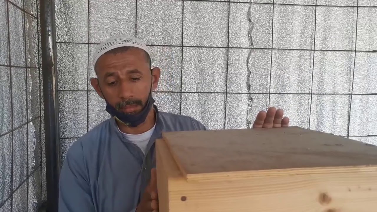 الفيلق 4