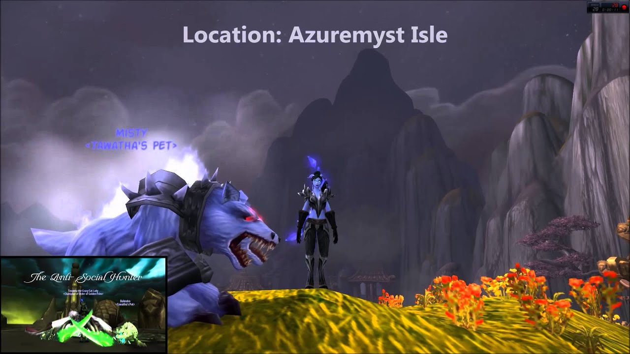 Hunter Pets: The Anti-Social Hunter's Stable, Collection and Soon To Be Pets