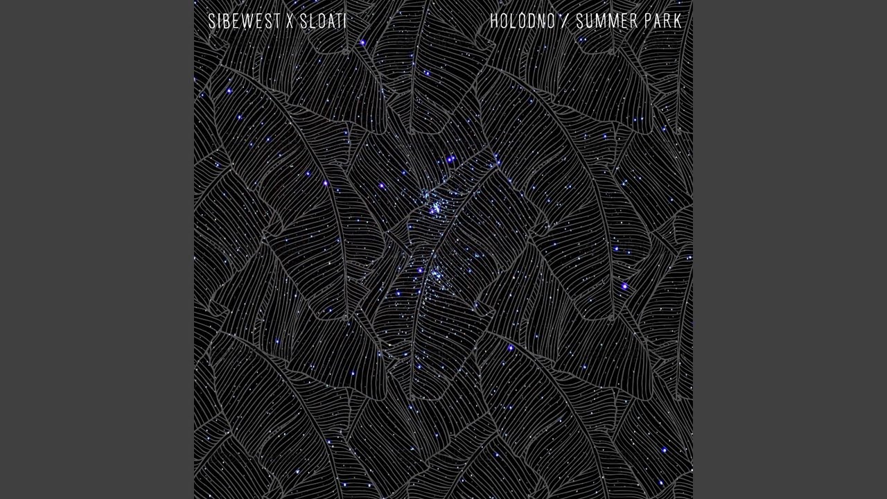 Summer Park (feat. Sloati)