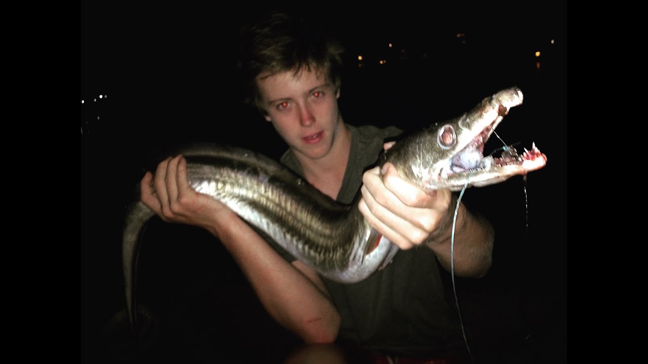 EP 2 - MONSTER EEL FISHING - Catch n Cook - Using Freshly Caught MULLET! | TDK