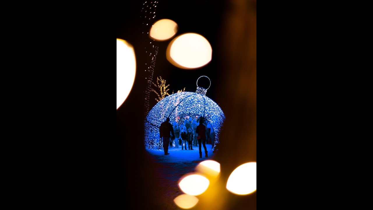SAM'S CHRISTMAS VILLAGE & LIGHT TOUR--Somerset, WI