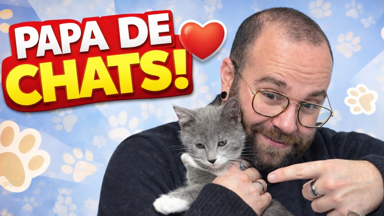 JE SUIS LE PAPA DE DEUX CHATS