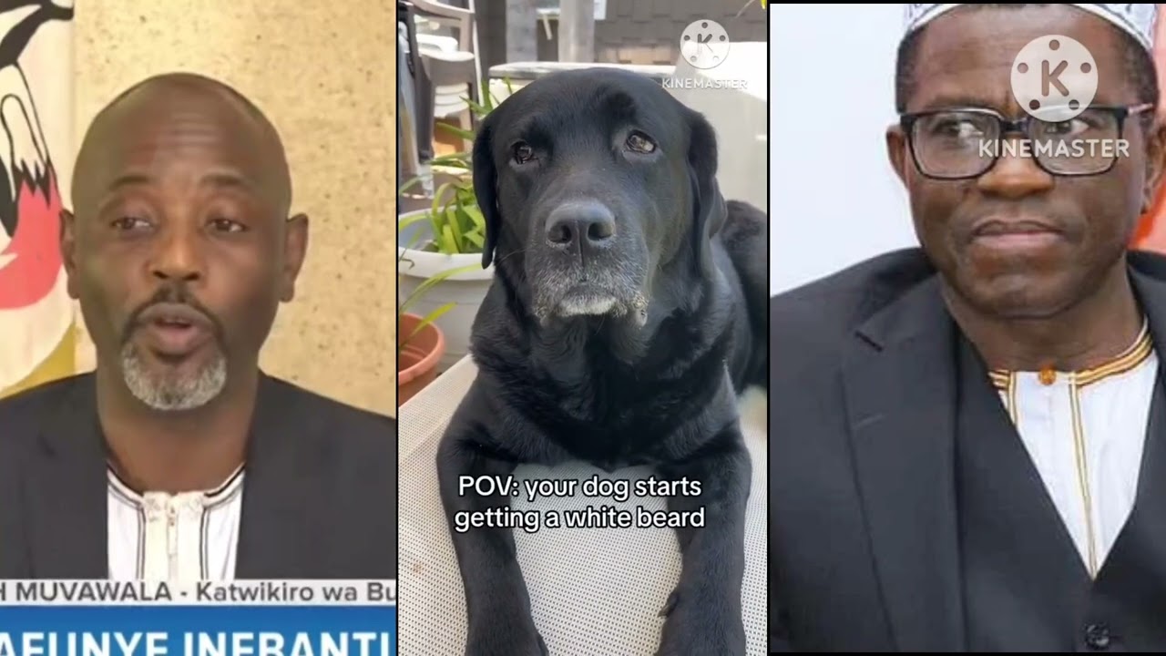 Twagala Kyabazinga🙄🤔Latest Video 2025 by Half London President Dog Nation