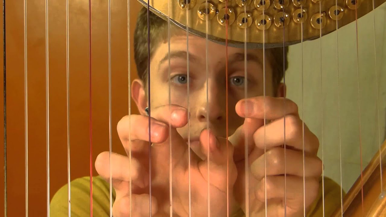 One Man, One Harp, Nine Hands (And Viola): A Gerudo Valley Cover