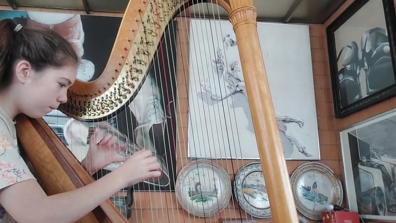 Deborah Henson-Con. Baroque Flamenco. Version 2