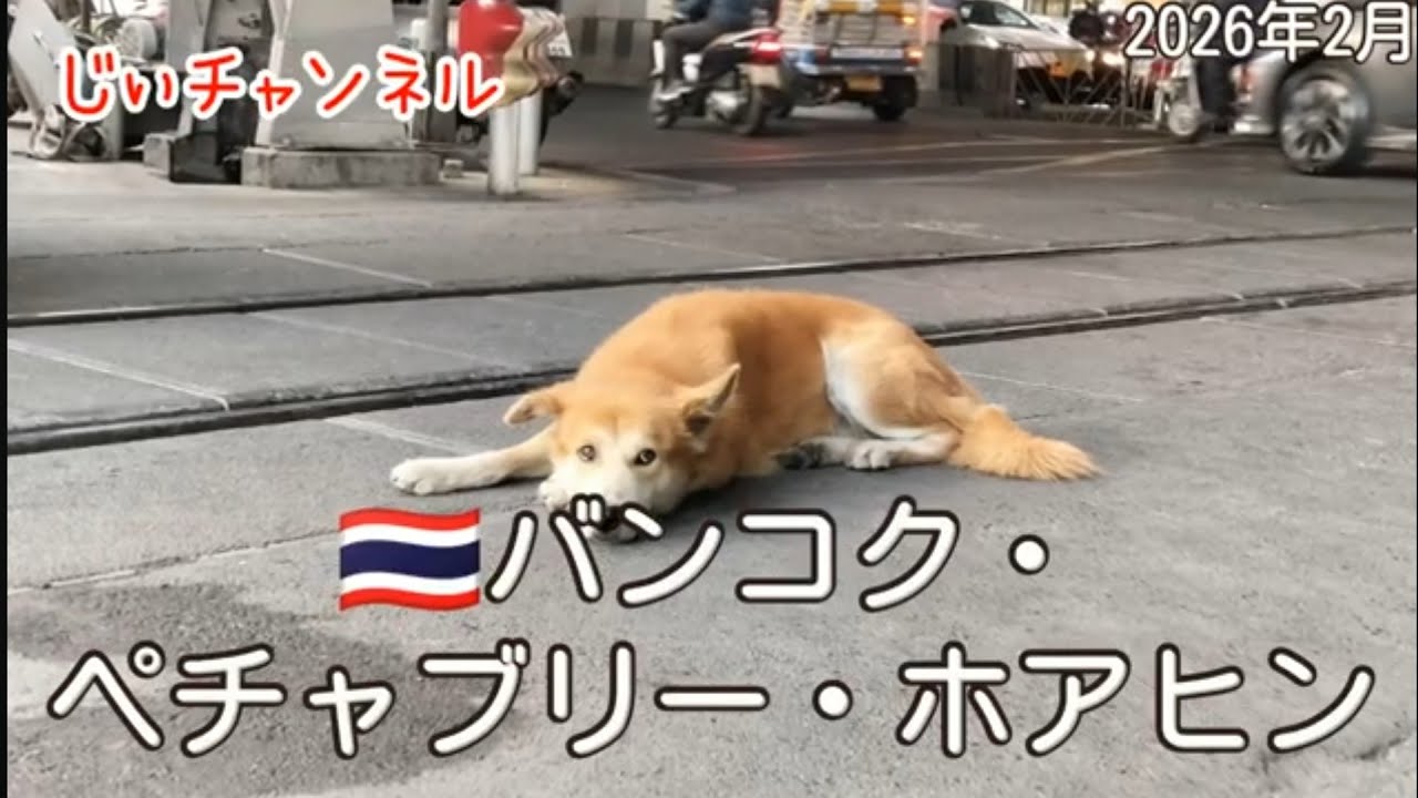 【🇹🇭バンコク・ペチャブリー・ホアヒン】南国旅 part 8 SRTパヤタイ駅→フアマーク駅 イエローライン フアマーク