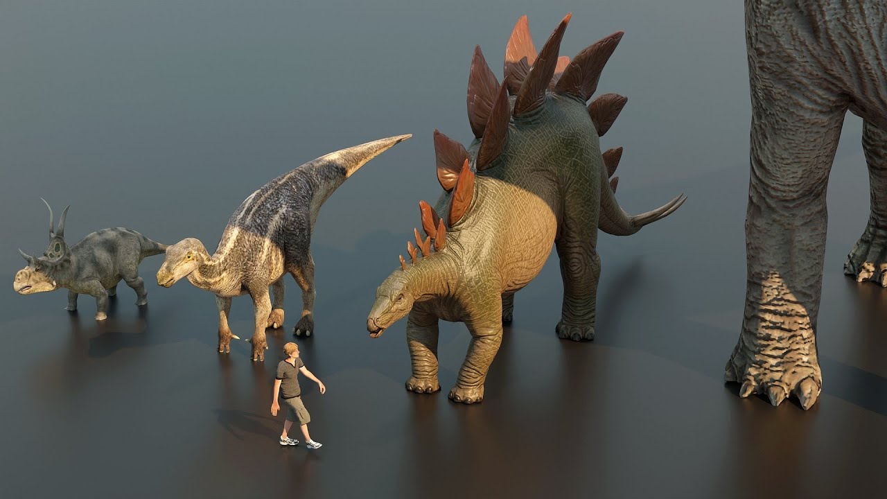 Herbivore Dinosaurs Compared by Size
