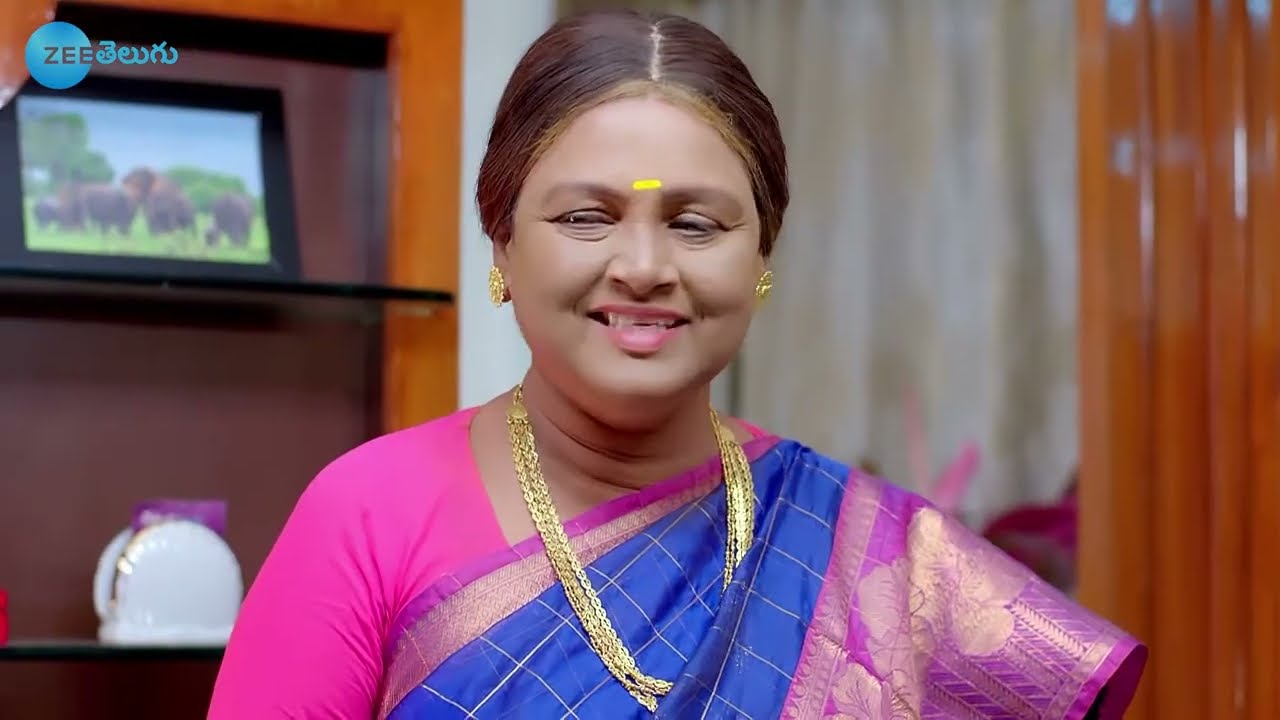 Vaidehi Parinayam - వైదేహి పరిణయం - Telugu Serial - EP - 199 - Karuna Bhushan - Zee Telugu