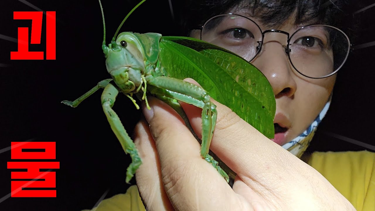 지려버렸습니다...저도 이런 괴물은 처음이네요ㄷㄷ!