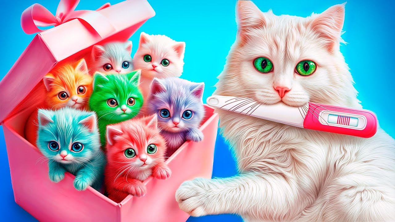 Мы спасли бездомную кошку! Строим домик для котят