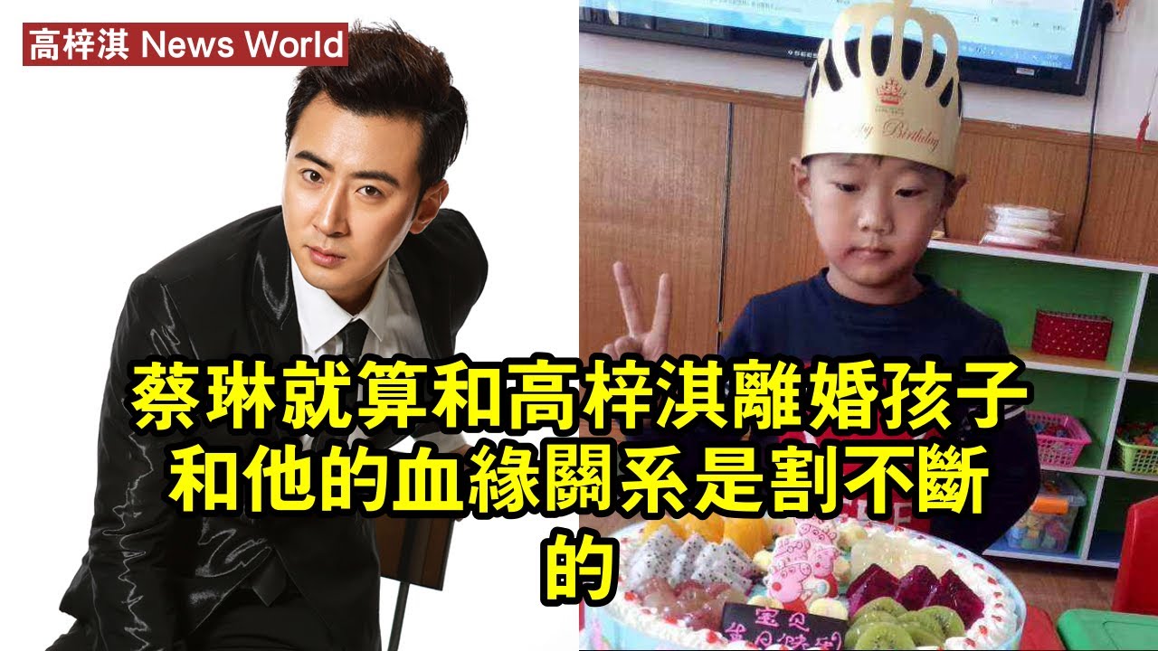 蔡琳：就算和高梓淇離婚，孩子和他的血緣關系是割不斷的 #高梓淇 #gaoziqi #gaoziqi高梓淇