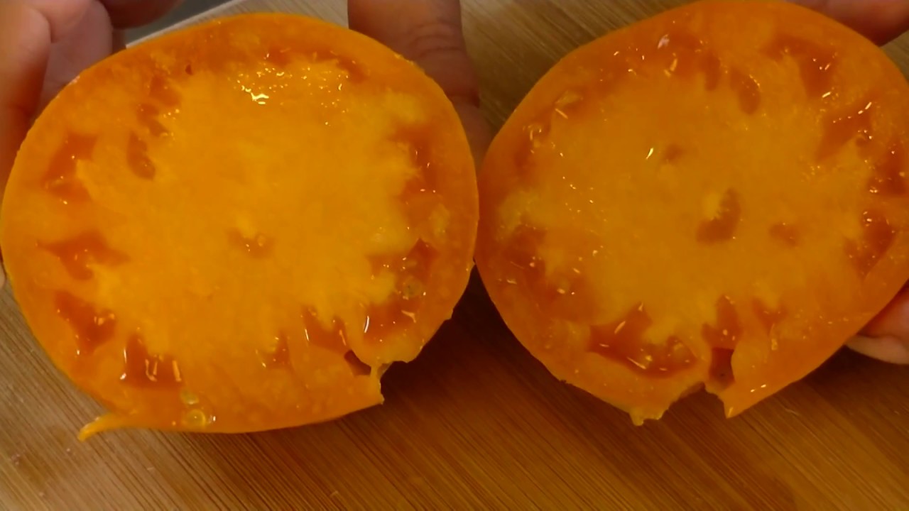 Томат Медовый Спас