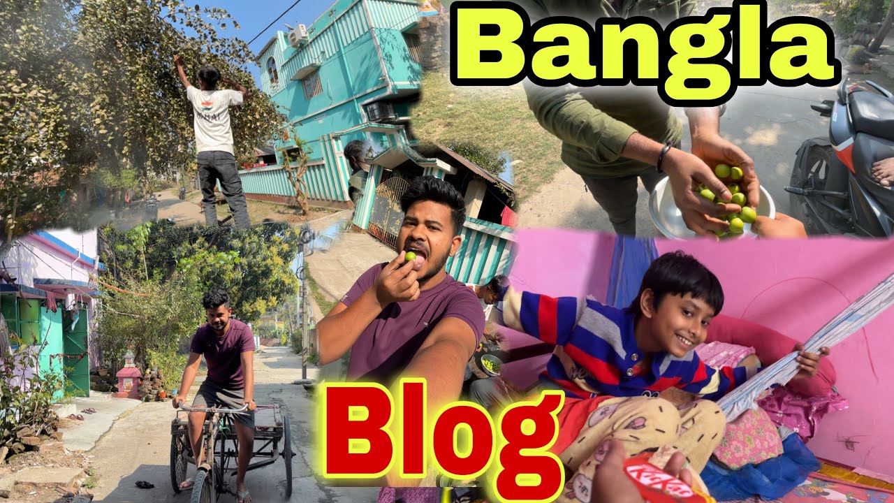 আমার একদিন কেমন কাটলো?।Real Daily Life Vlog 