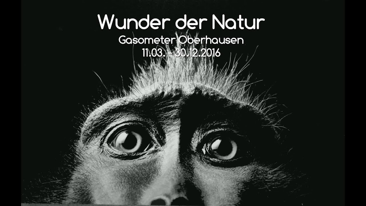 Wunder der Natur | Ausstellung Gasometer Oberhausen | Fotovideo | Erdkugel