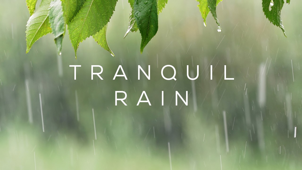 Tranquil Rain Sounds & Calming Music for Nervous System Resilience (Release & Reset)