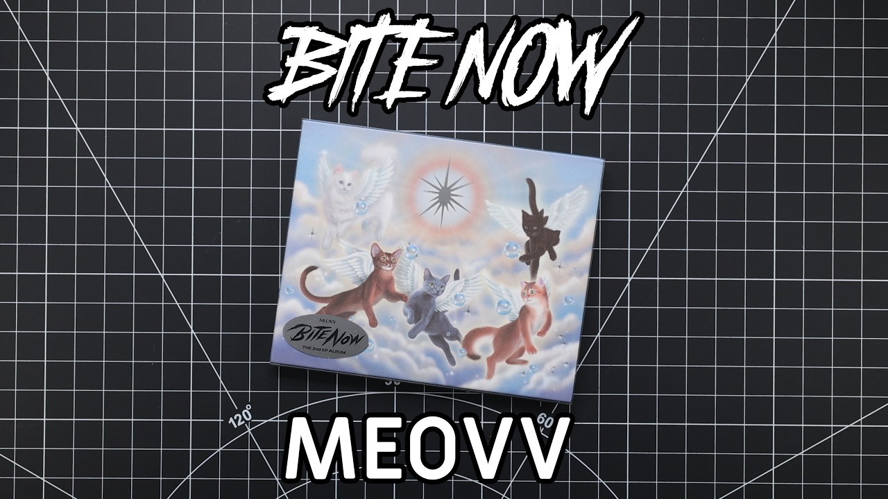 MEOVV BiteNow (Gray version) Unboxing