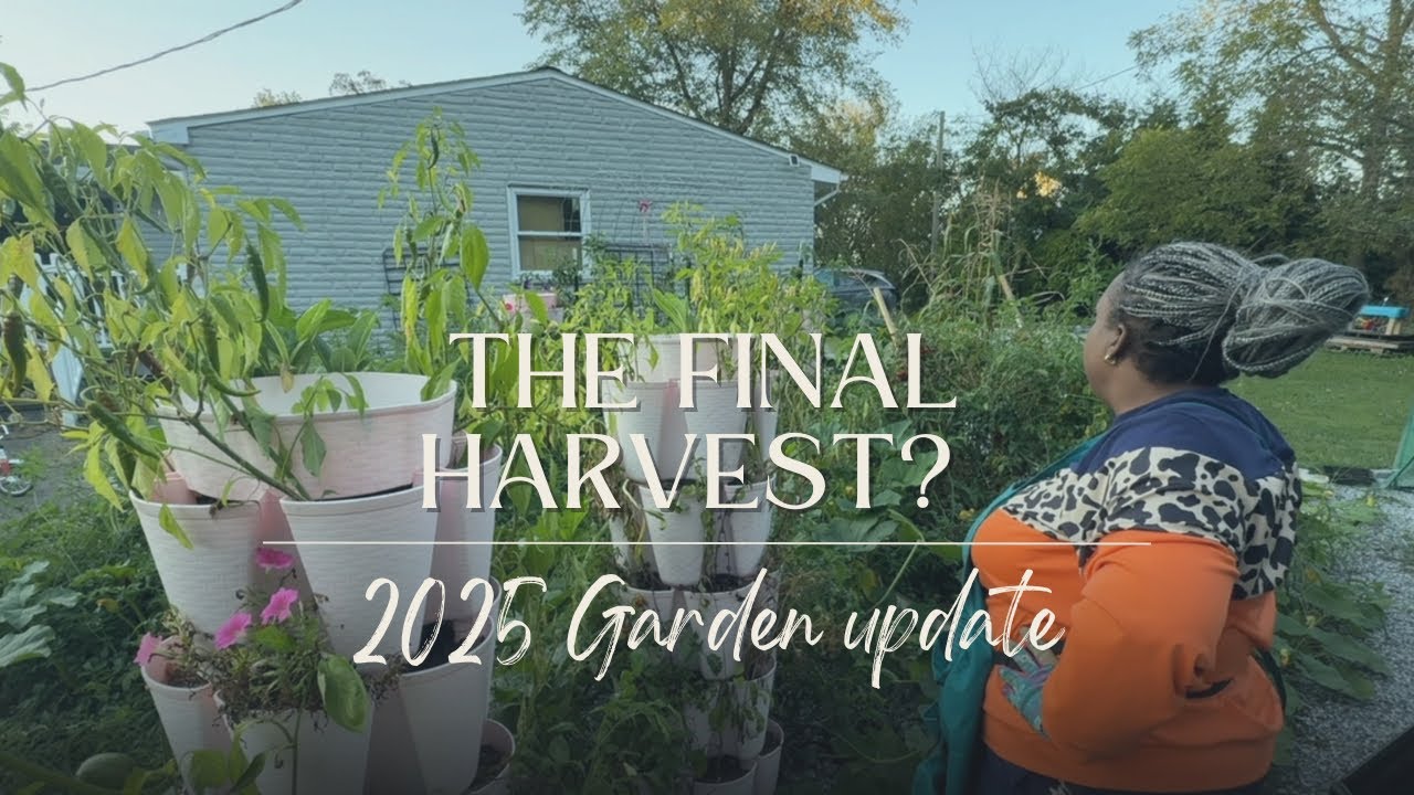 Let’s go in the garden one last time 