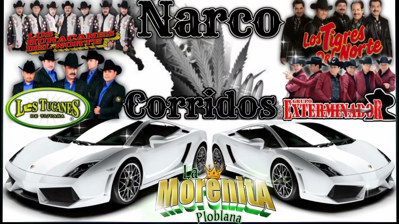 Narco corridos 🔥exterminador🔥 tucanes huracanes 🔥tigres del norte