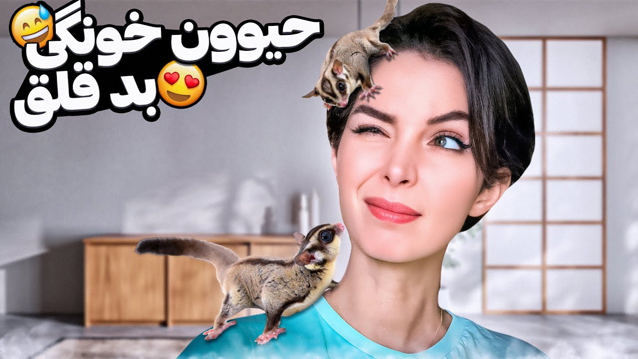 عضو جدید خونمون😍 که رام کردنش خیلی سخته😁🤦🏻‍♀️