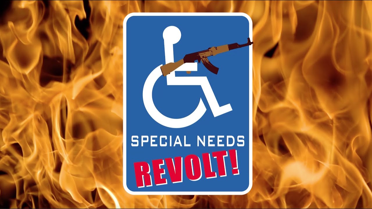 Special Needs Revolt pitch