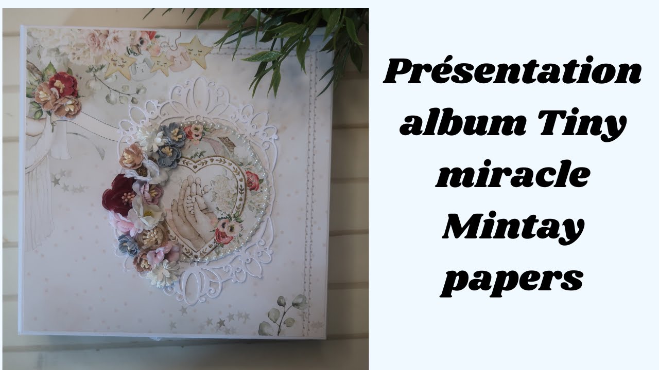 Présentation album Tiny miracle Mintay papers