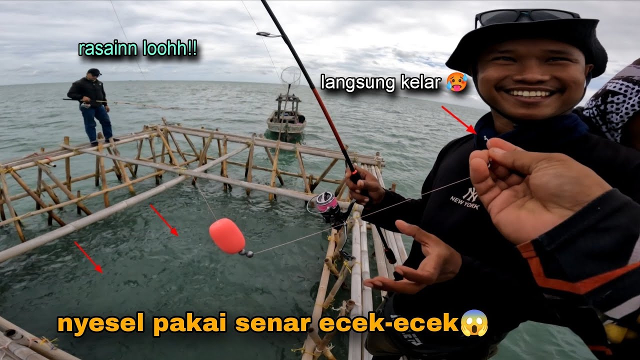 Nyesel seumur hidup!! Mancing di sarang kakap monster pake leader ecek-ecek 🥵