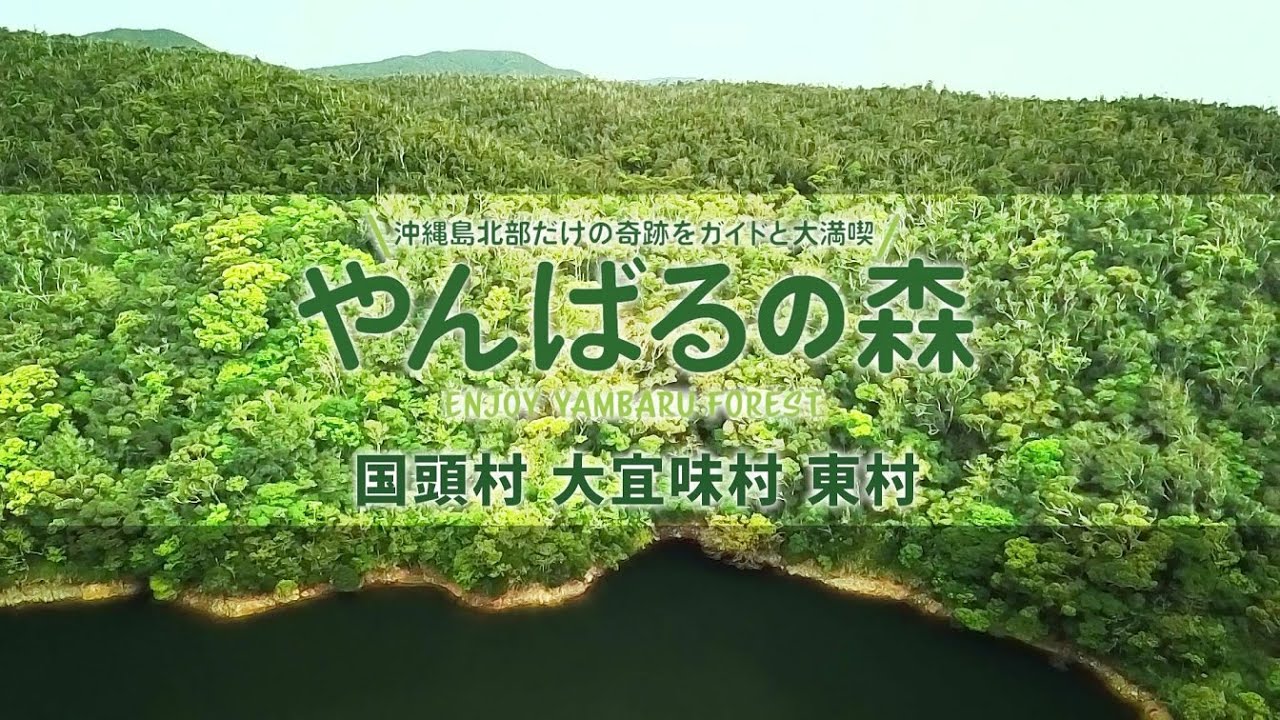 『やんばるの森』認証ガイドネイチャーツアーPR動画