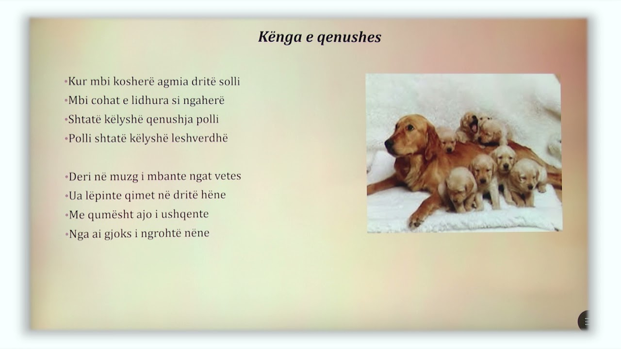 6 01 103 - Java 21 - Gjuhë shqipe -  kënga e qenushes