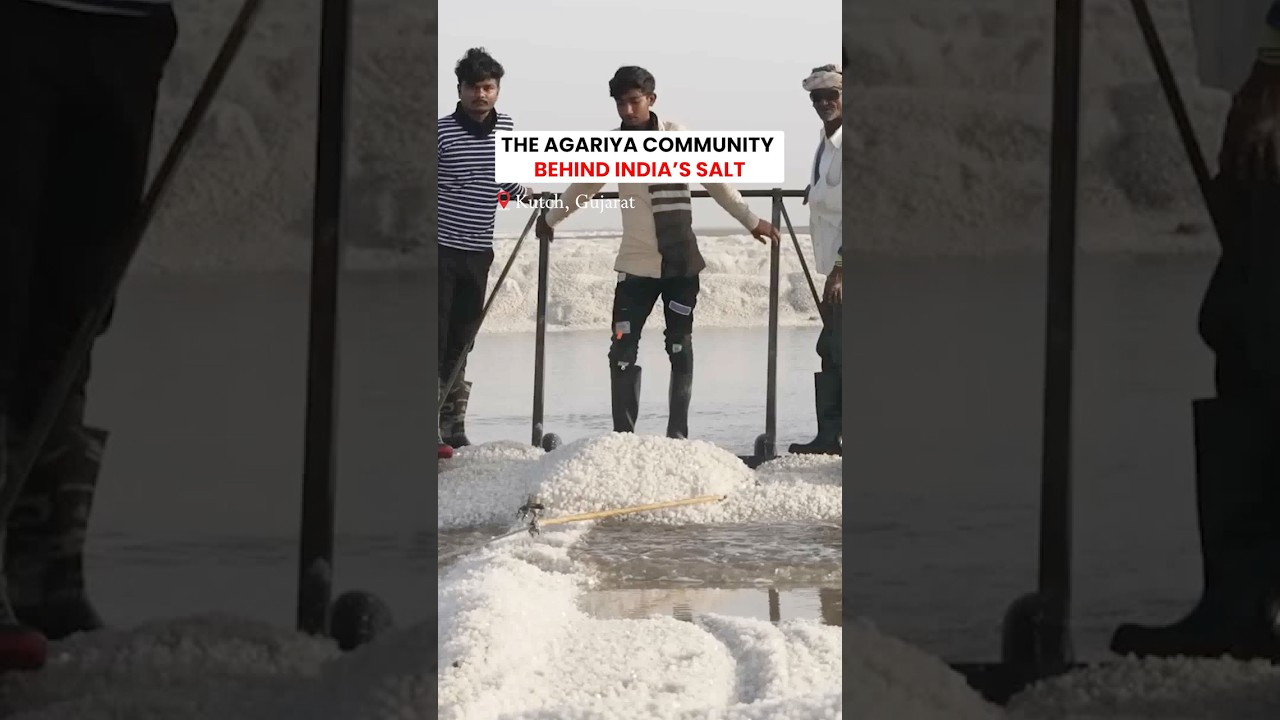 Agariya community behind India's salt #agariya #kutch #gujarat #salt #tribe #india