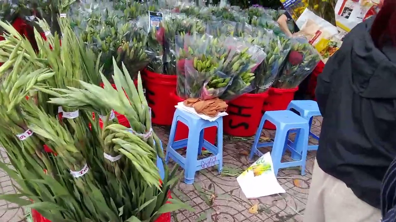 Hồ Thị kỷ xổ kết hoa 15/2 cần tết 