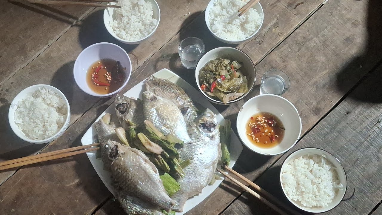 T18/mùng 4 tết giăng câu thả lưới đêm kiếm cá hấp lục bình  nấu cháu xã tiếp ae sì phố em mời cả nhà