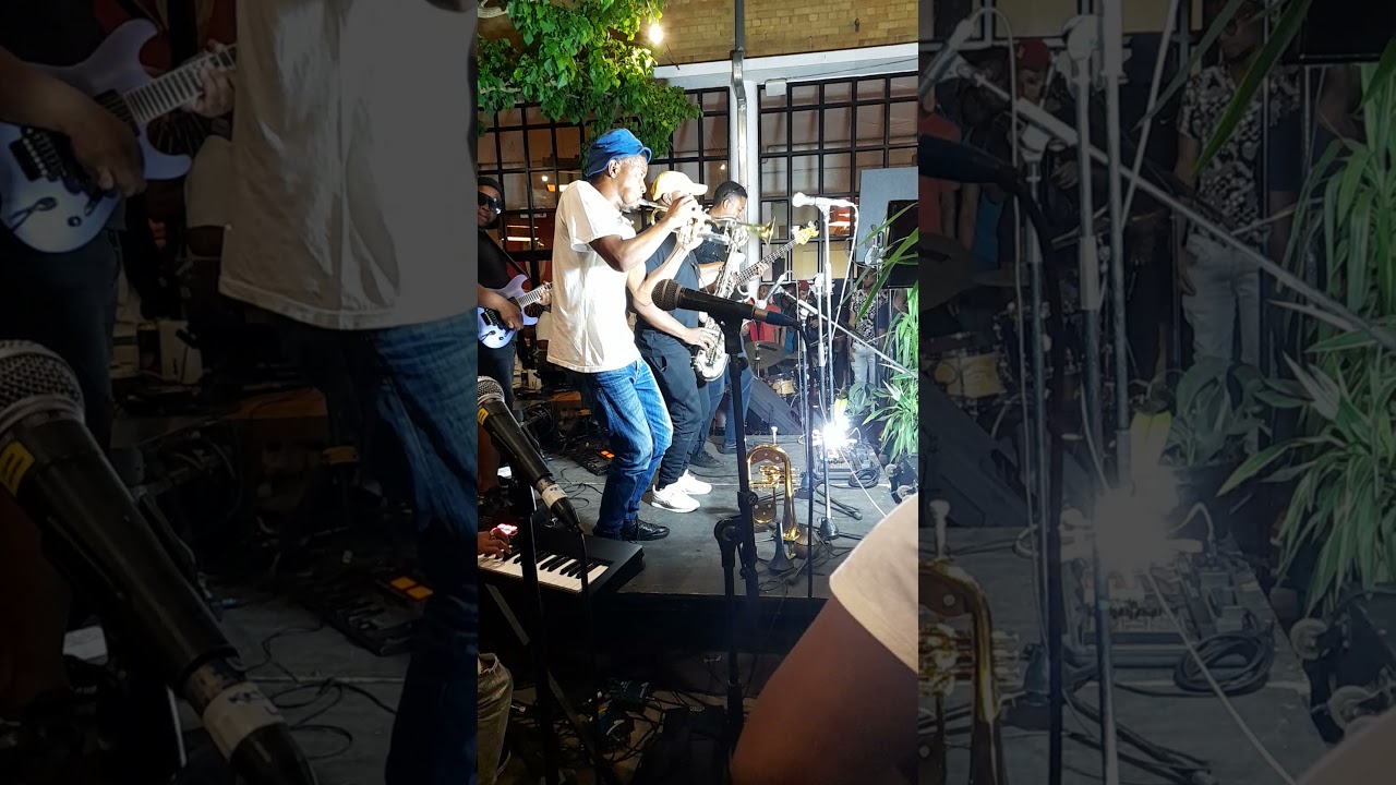 The Mshengu Project