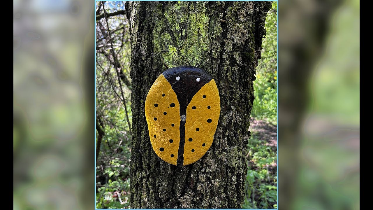 Sentiero delle Coccinelle Gialle, da Passatore a Valgrana
