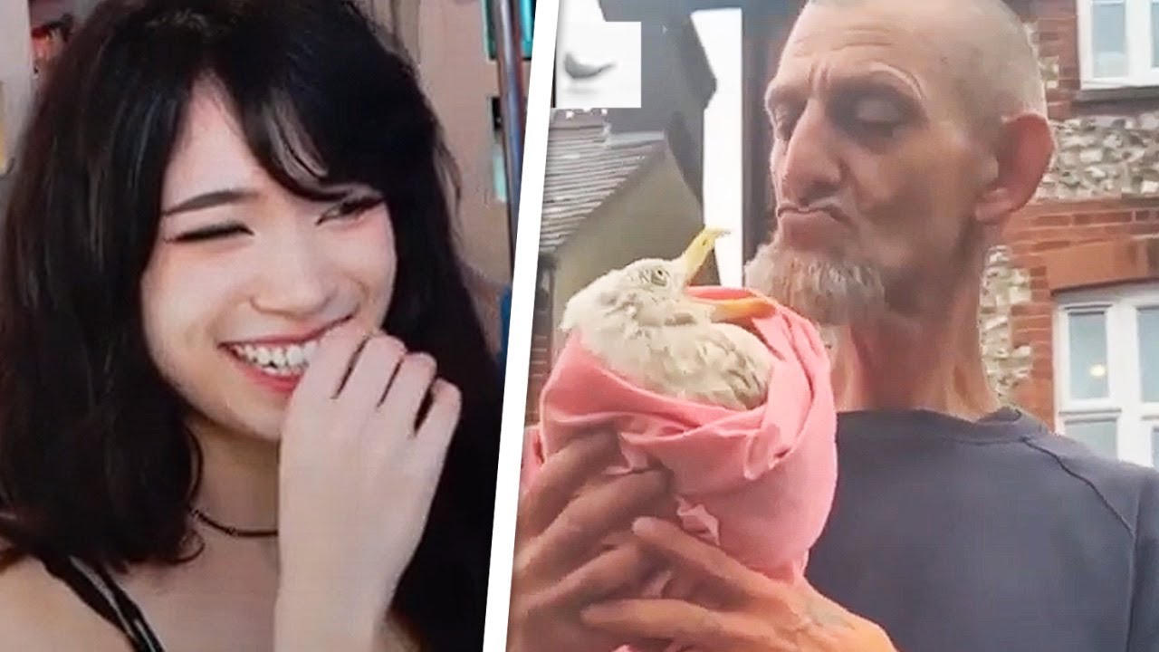 Emiru Reacts to offensive memes that if ylyl by Memecorp