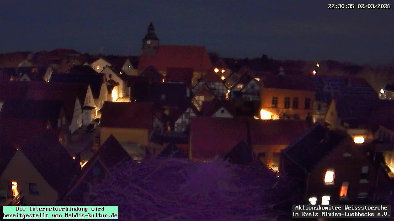 Livestream von Storchennest Petershagen