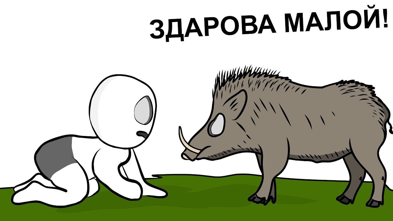 Как я гонялся за КАБАНОМ... (анимация)