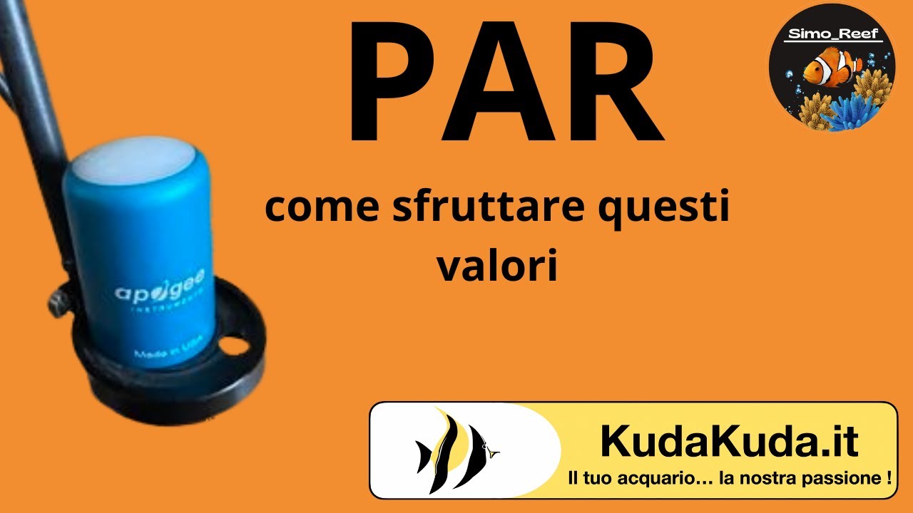 PAR in acquario marino