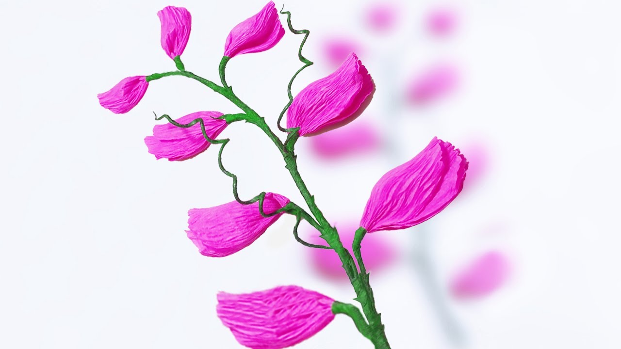 DIY:How to make Sweet Pea crepe paper Flowers