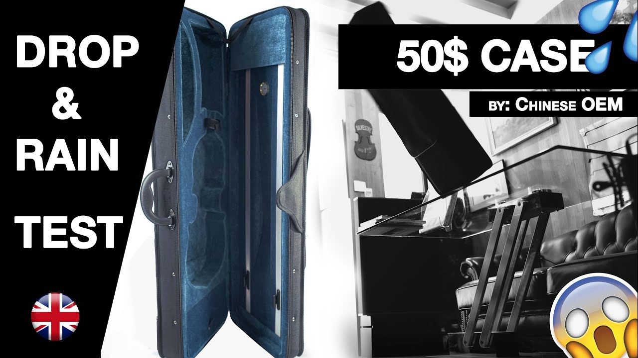 Cheap 50$  OEM violin case review