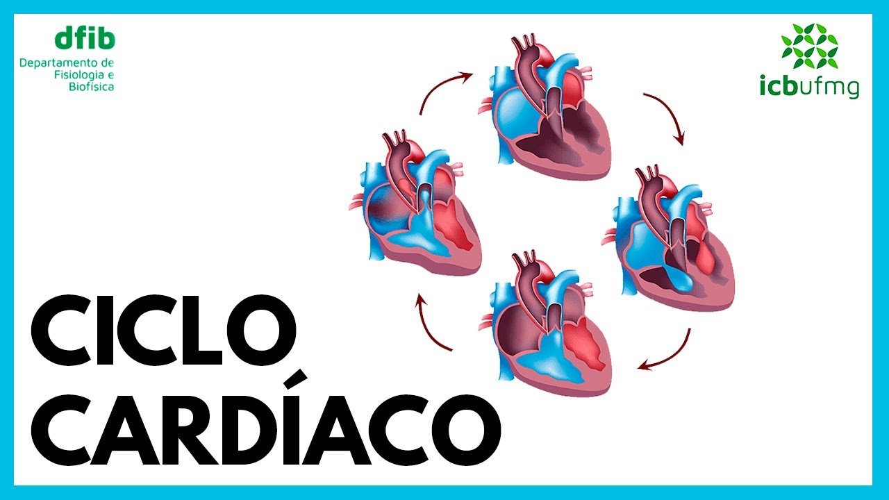Ciclo Cardíaco
