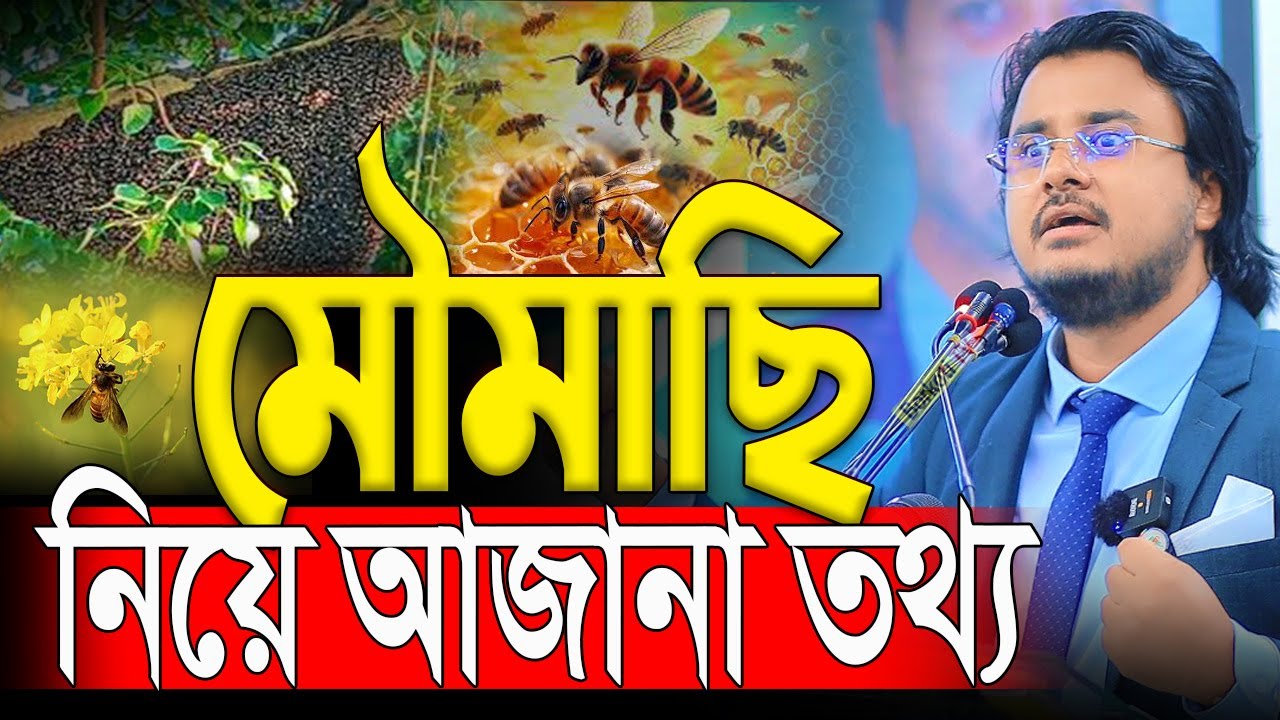 মৌমাছির ওপর ওহি নাজিল হয়েছিলো😮 Al Mamun Rasel Motivational speaker | motivation video