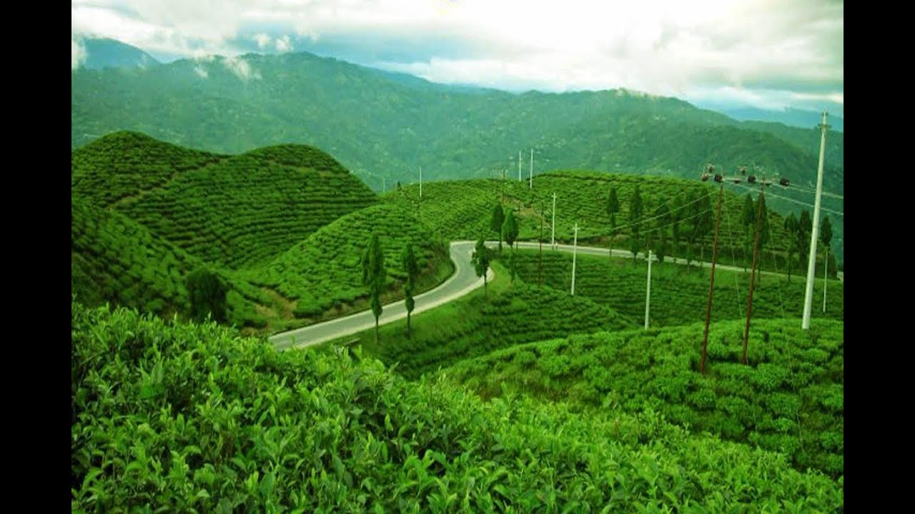 Update Jalur Gunung Halu Cianjur Selatan